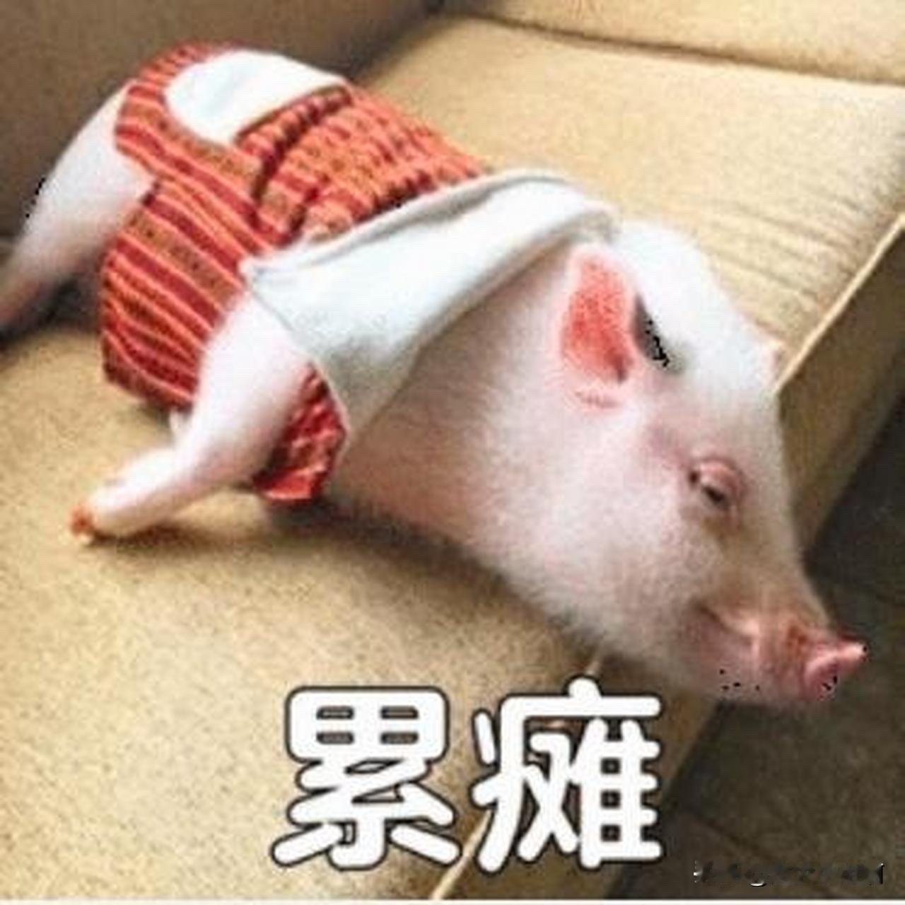 今天没攒钱但是早早的躺下了。因为今天觉得特别特别的累。累的一点力气都没有。