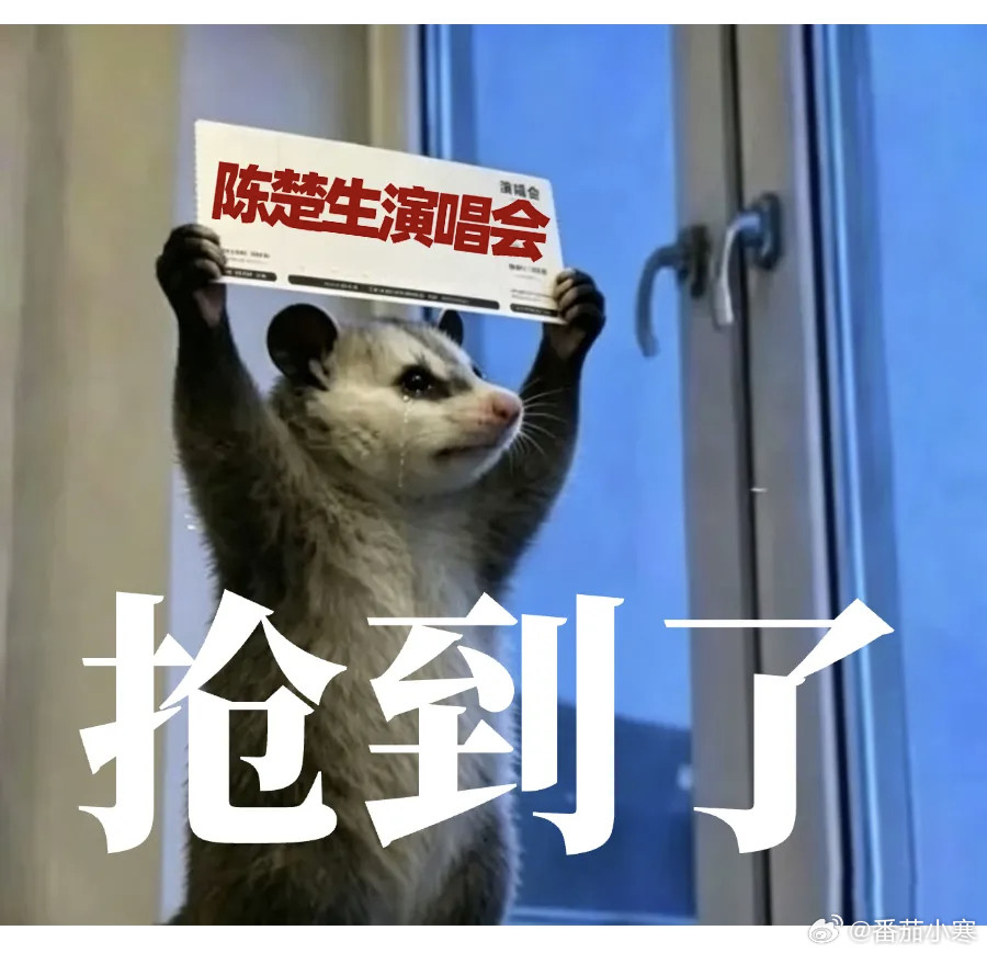 三亚你笑得真的很大声（甚至还置顶了陈楚生三亚演唱会预售售罄