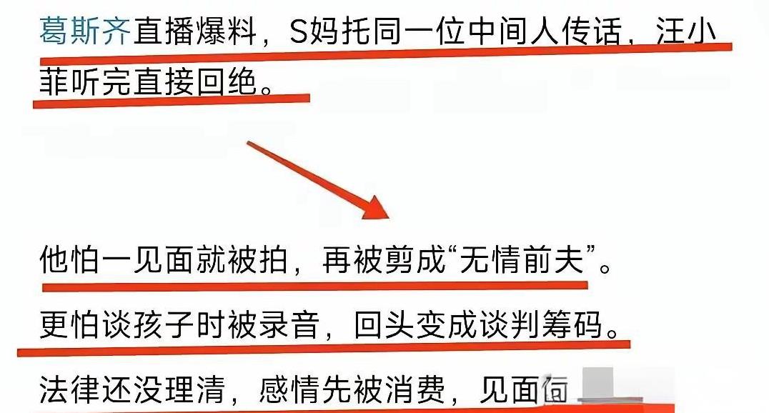 老话说：当局者迷旁观者清！一点没错啊！葛斯齐今天直播中再一次说s妈通过中间人