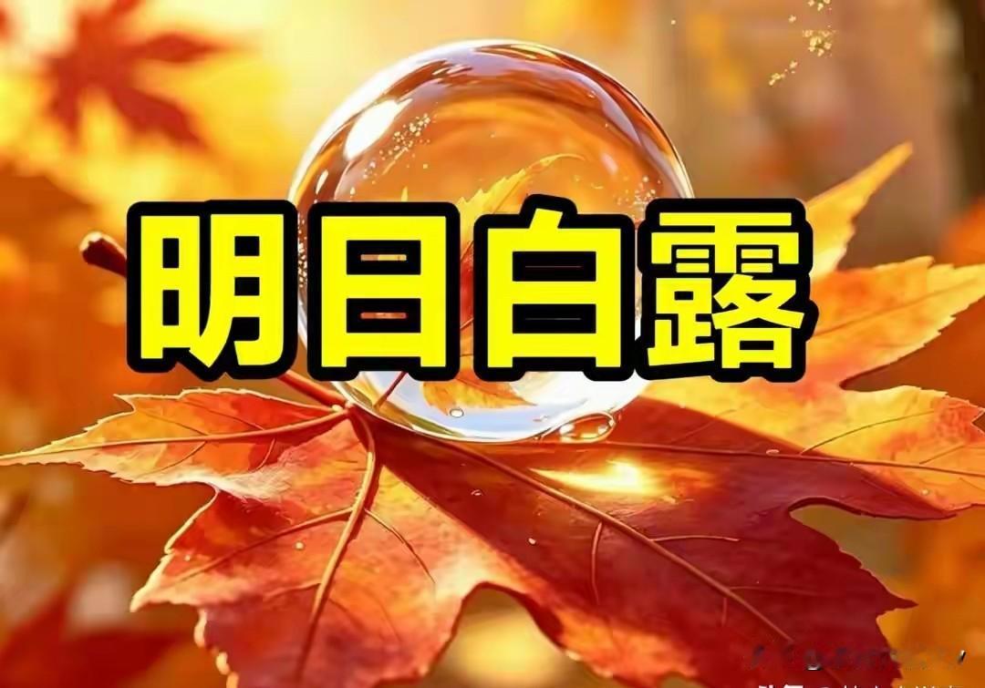 “白露吃三宝，幸福不会少”，明日白露，这3宝指啥？该怎么吃明天就是白露节气