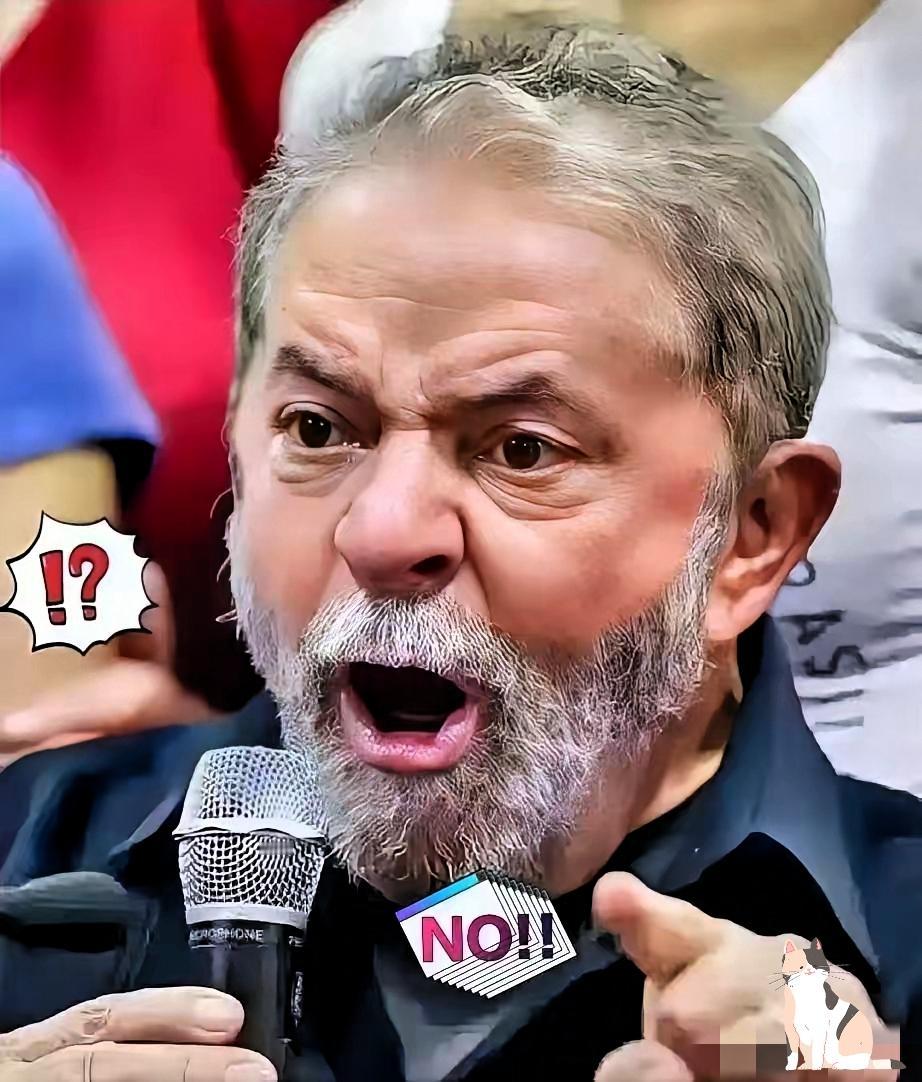 就在昨天巴西外贸委员会发布公告决定自2025年10月28日起,对原产于某某某