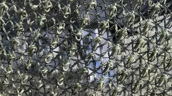 乌克兰无人机在天上横行的日子到头了？谁也没料到，终结它们的不是激光武器，不是电子