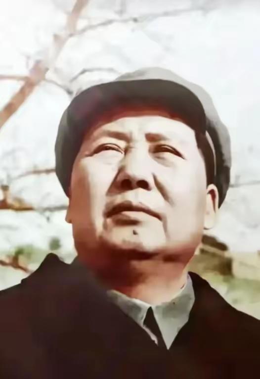 毛主席忧心忡忡，夜不能眠。一向不喜欢加强警卫的他突然问：你们哨兵带枪和子弹没有？