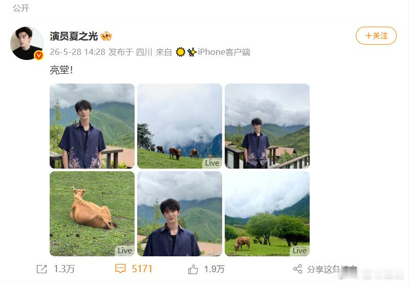 夏之光拍出童年课本感被夏之光照片拉回学生时代真的会被这种温柔质感打动，夏之光拍出