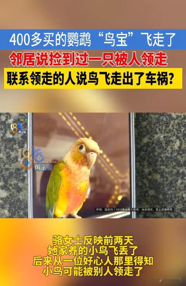 浙江杭州，骆女士的女儿用压岁钱买了一只价值400多的鹦鹉，不慎遗失，被好心邻居带