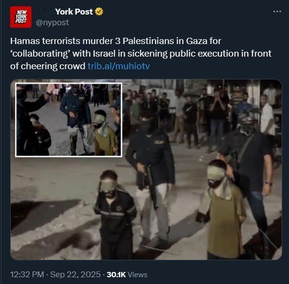 民主党的街头打手。​​​