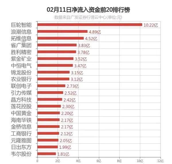 2月11日，个股资金净流入流出排行。注：公开资料，不构成投资建议。