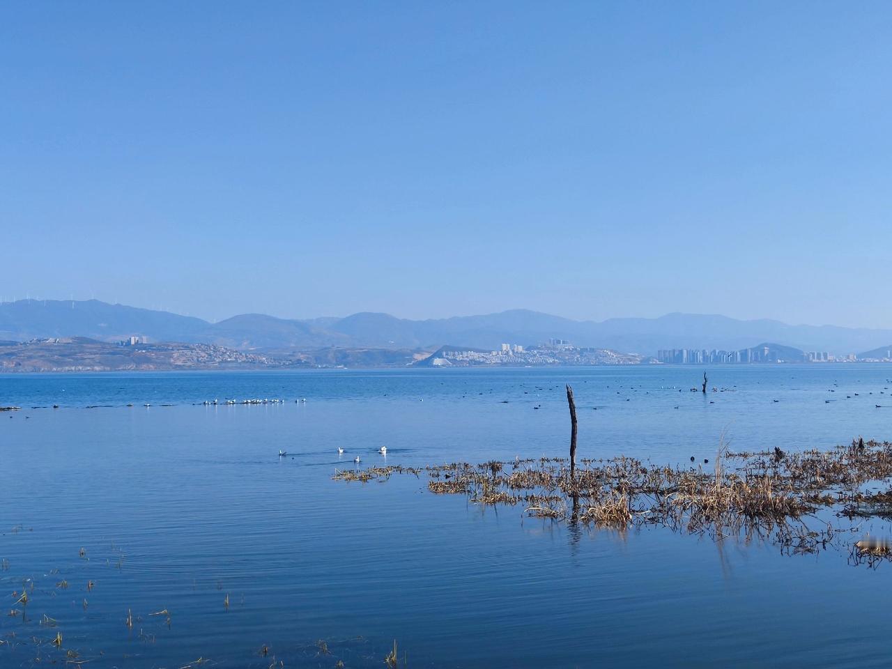 我们有一些家长跟我说，回去跟孩子好好的商量一下，我觉得这个顺序你就搞反了，正常情