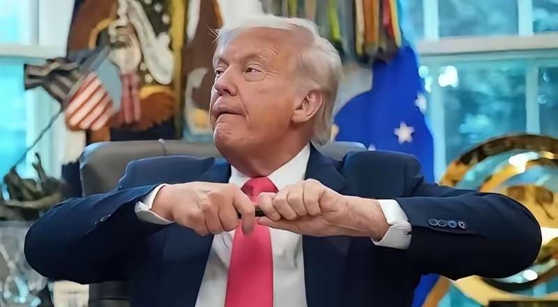 这回德国人的脸算是丢尽了，前脚刚去格陵兰岛“站场子”，后脚就被吓回来了？那1