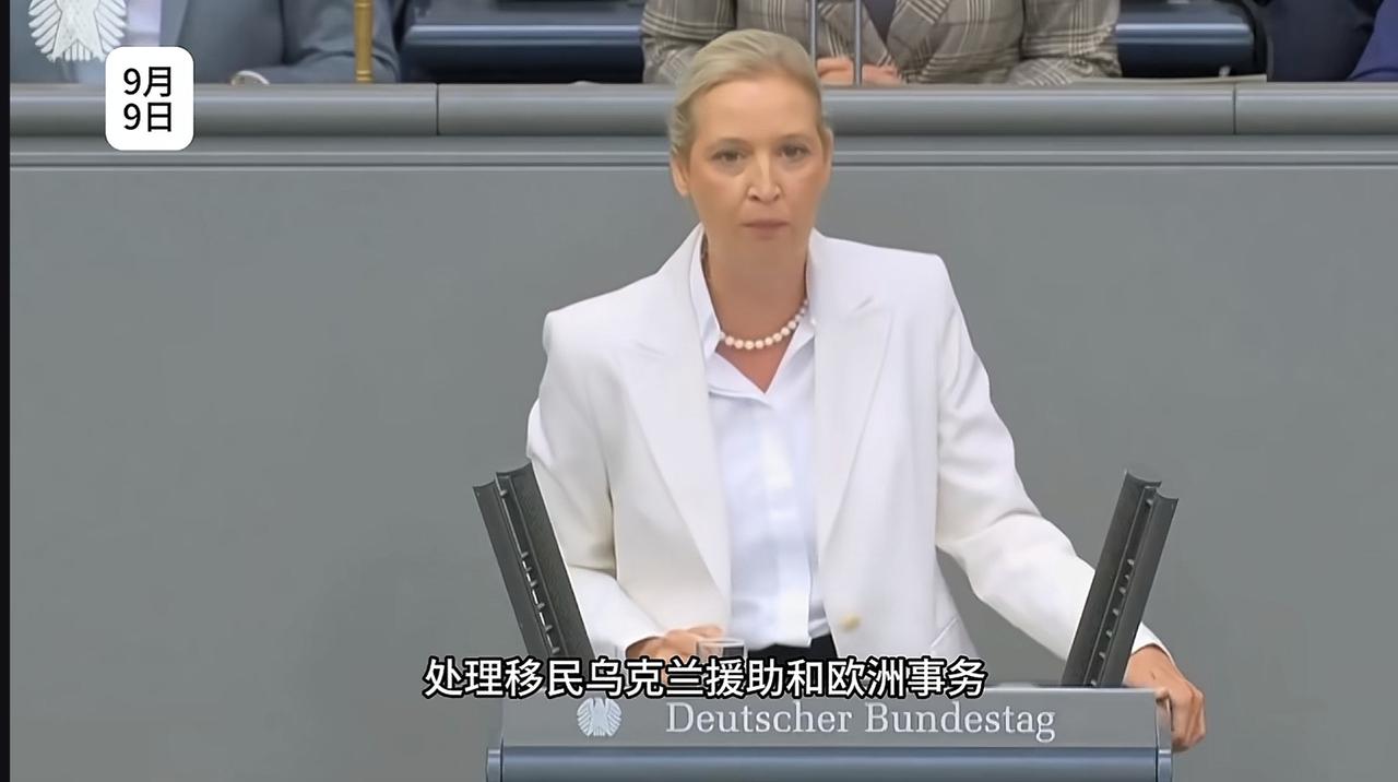 德国选择党目光短浅思维狭隘就一小党的做派，离大党风度还差八竿子。由党魁魏德尔阐
