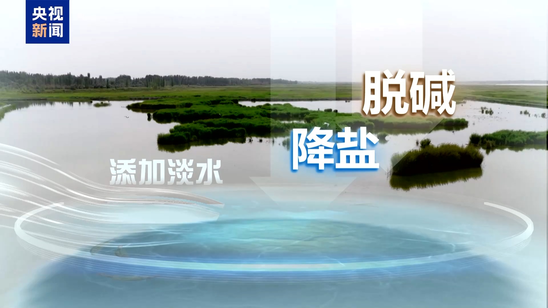 沙漠里也能养海鲜、种水稻? 看新疆如何“点沙成金”