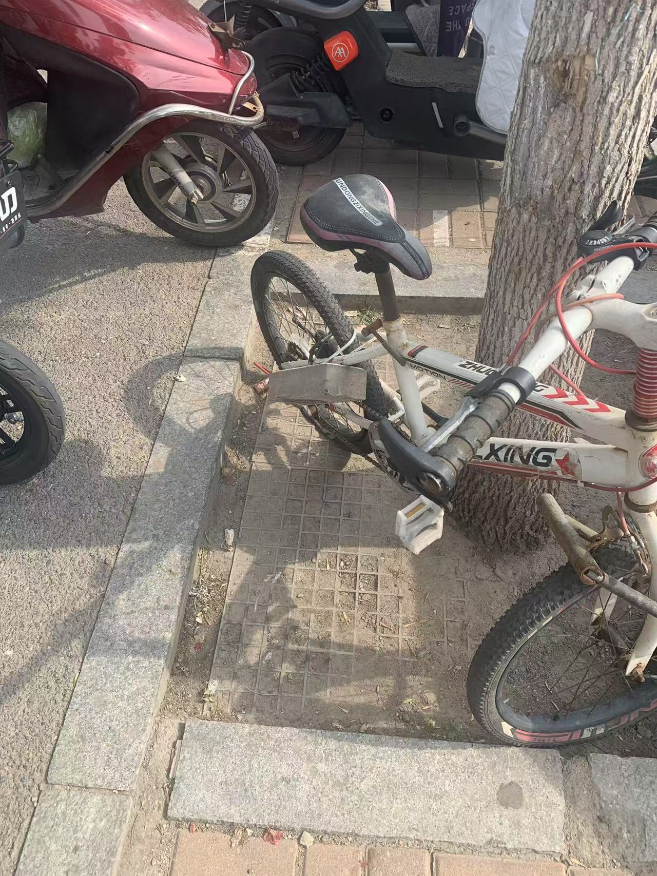 这自行车犯了什么罪。