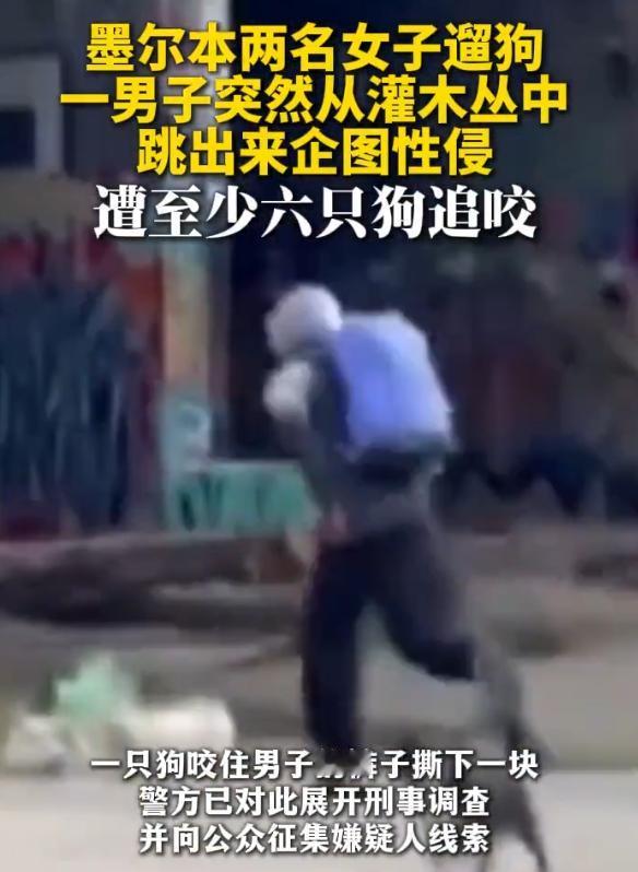 “活该！”一男子躲在灌木丛里，看到2名女子遛狗，他见色起意，从灌木丛蹿出来，抓住