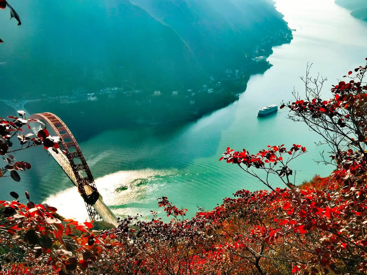 12月6日，阳光一照，三峡红叶美得简直要“爆”！早在12月4日，重庆巫山县120