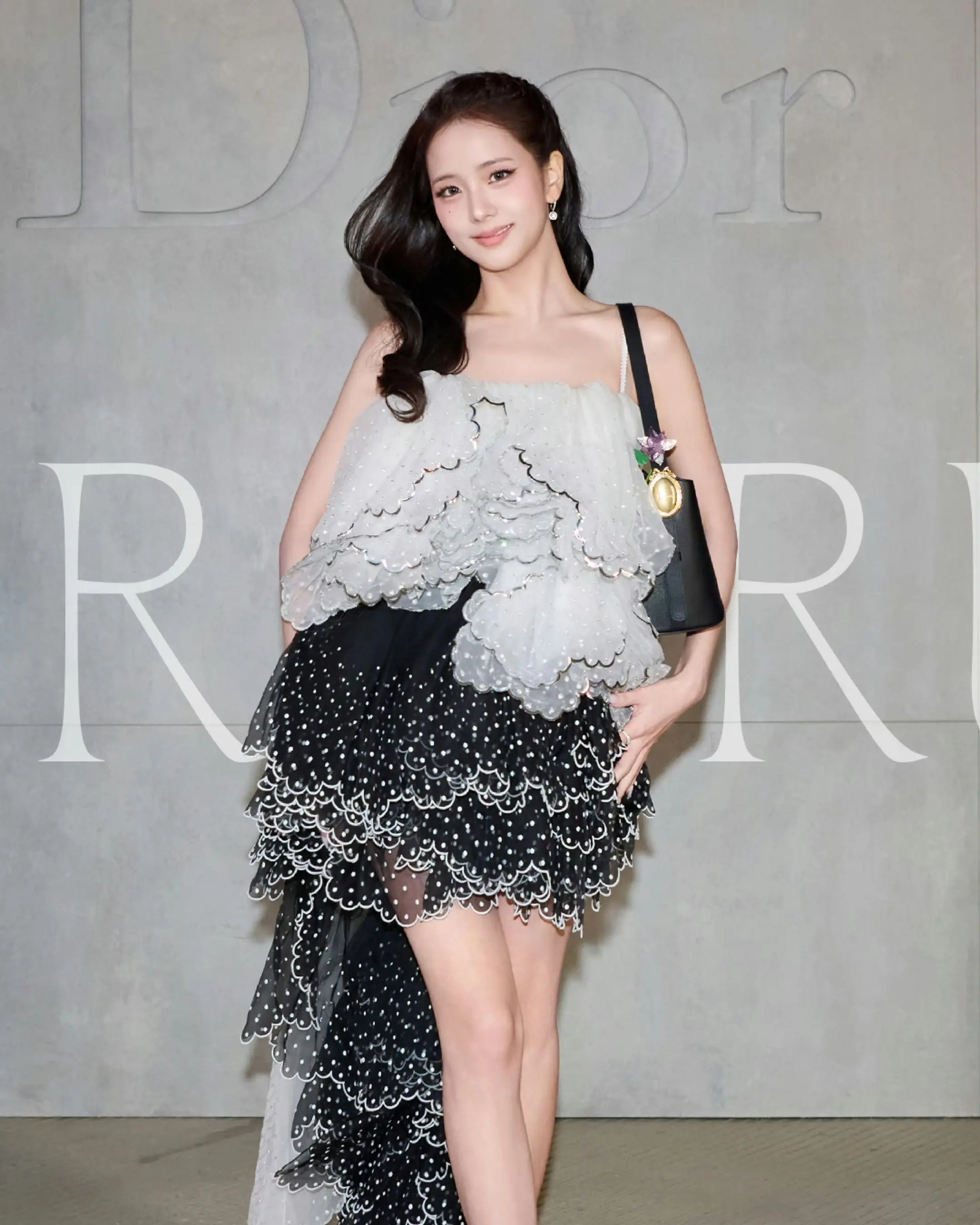 Dior Lady