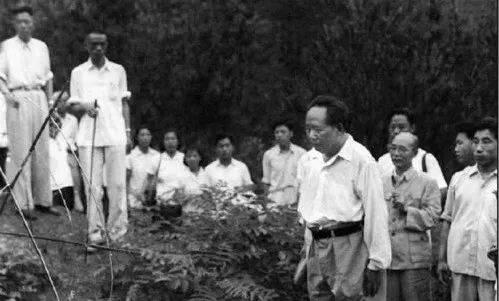 1959年6月，伟人回到韶山，站在父母坟前说：就我一人来了。润莲死在新疆，润菊埋