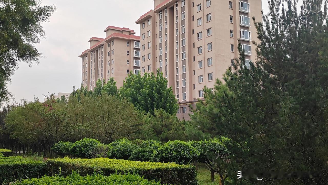 被父亲打走的那些年，是我一生的伤，现在他要我养老，我该怎么办？以前只要不如父