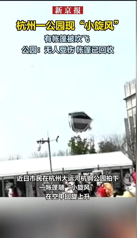 “万万没想到！”3月7日，浙江杭州，一公园里许多人在放风筝，这时候，突然刮起了一