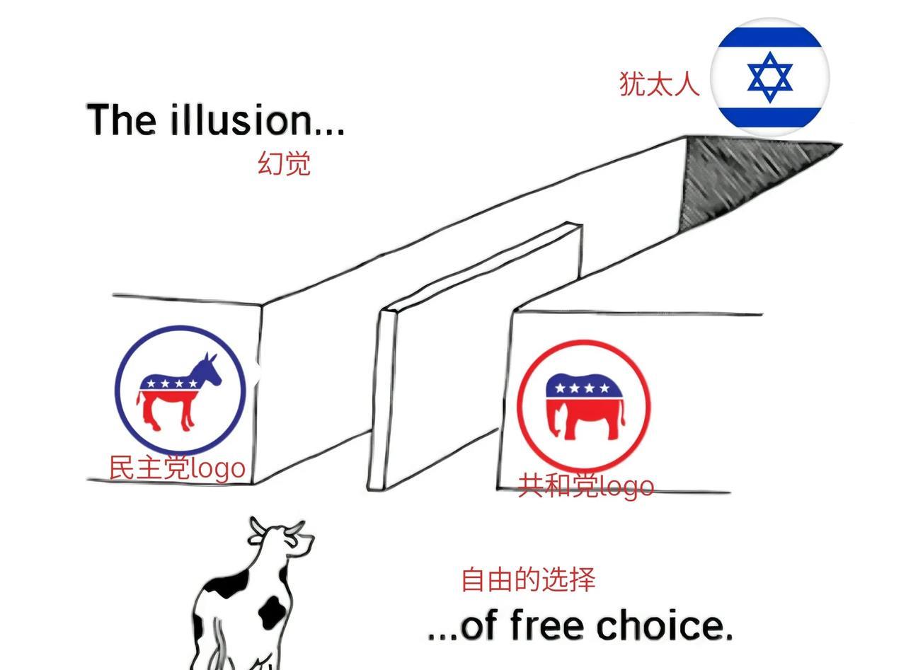 Twitter网友做的图片，描述了美国大选的真实情况：1，他们给了两条“自由选