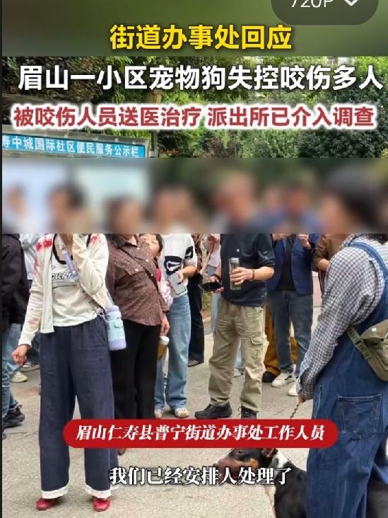 狗主人已被刑拘女童小区内被狗咬伤面部，狗主人被刑拘9月12日，四川眉山一小区