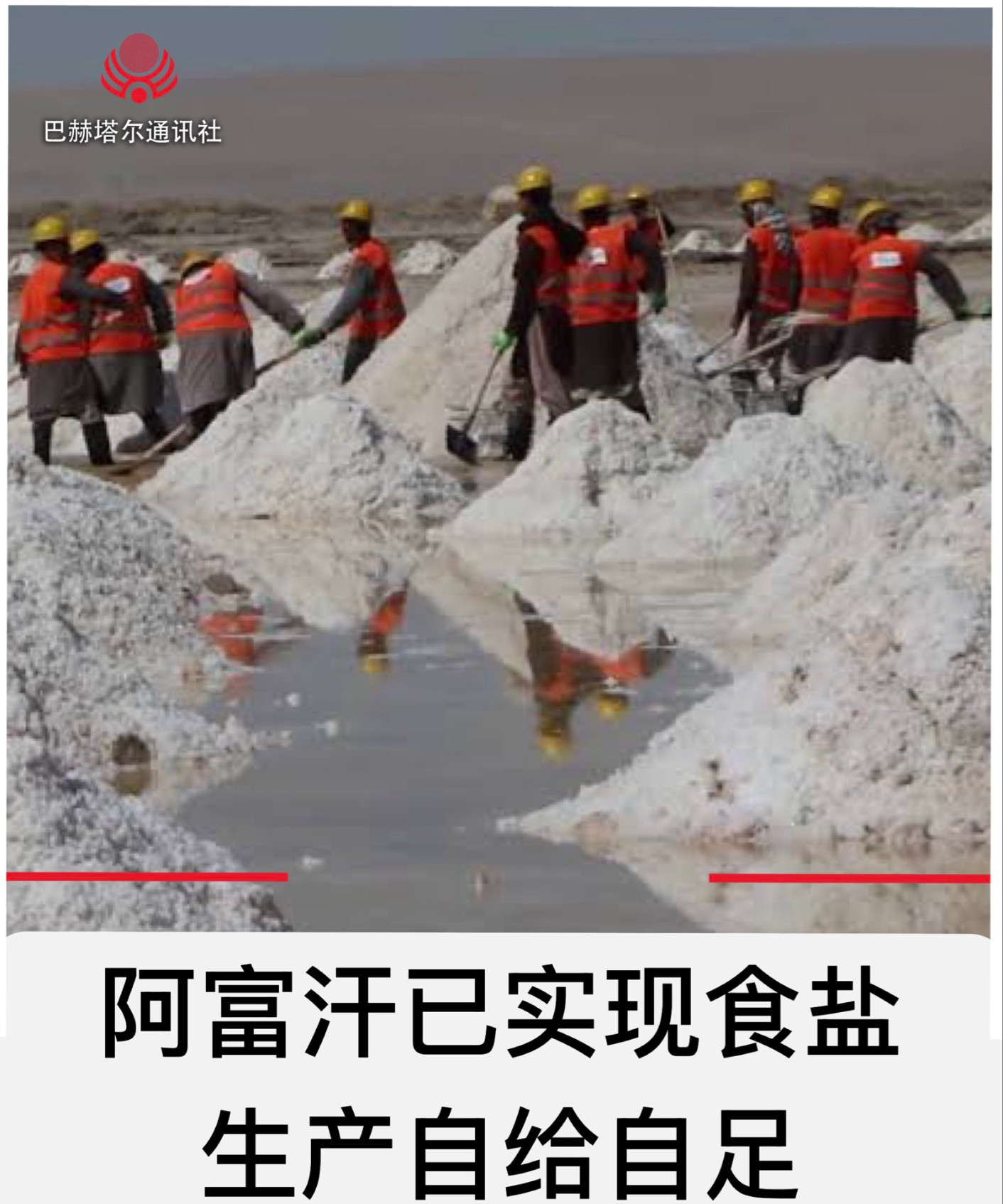 塔利班治下的阿富汗官方媒体发表的新闻，看了让老舅差点笑出声来。据称：阿富汗民众每
