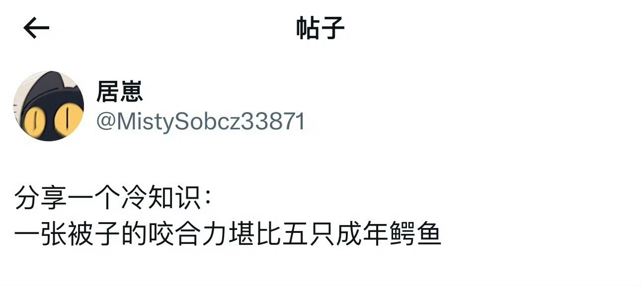 原来被子的咬合力这么惊人