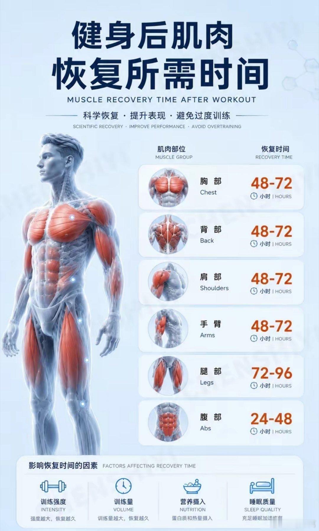 肌肉恢复时间表｜别白练💥恢复到位，增肌不累✅胸背肩臂：48-72h✅腿：7