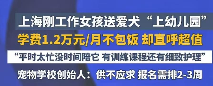 这个世界已经颠了，人活得像狗，狗活的像人，上海女生送自己的狗狗上了贵族幼儿园，学