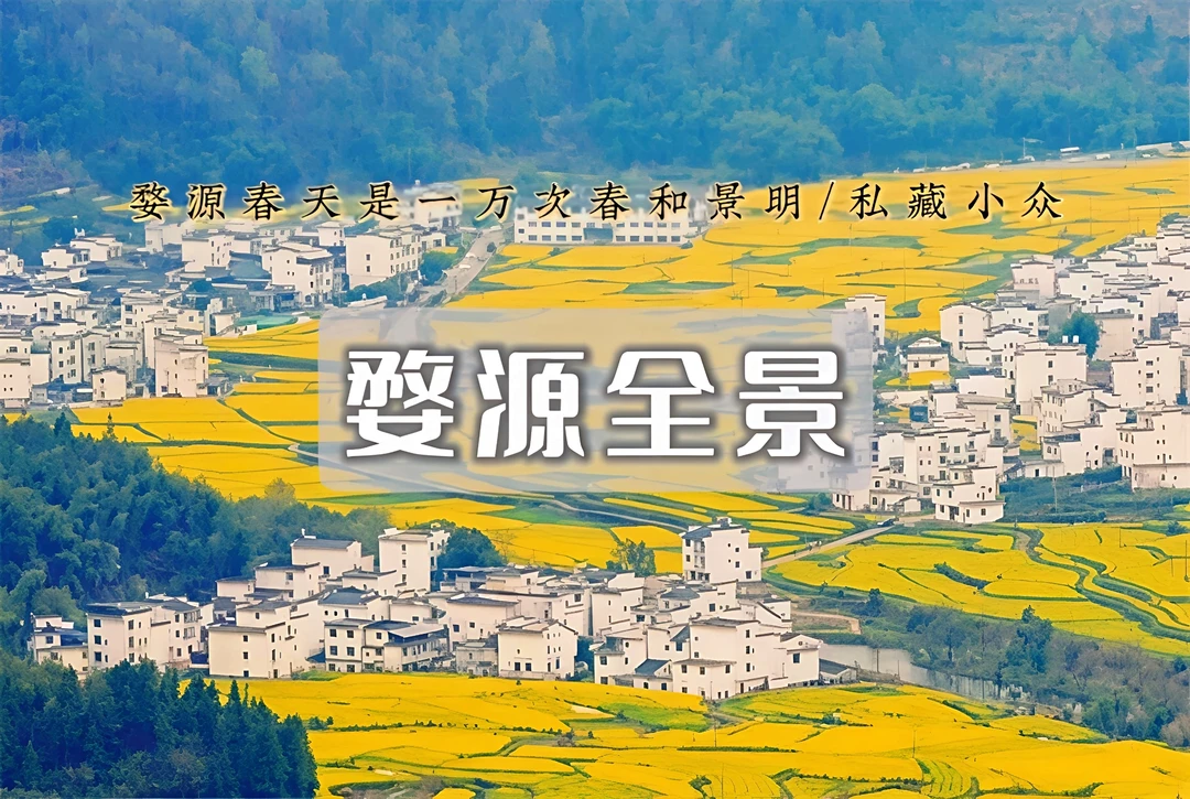 🌼婺源2日春日图鉴