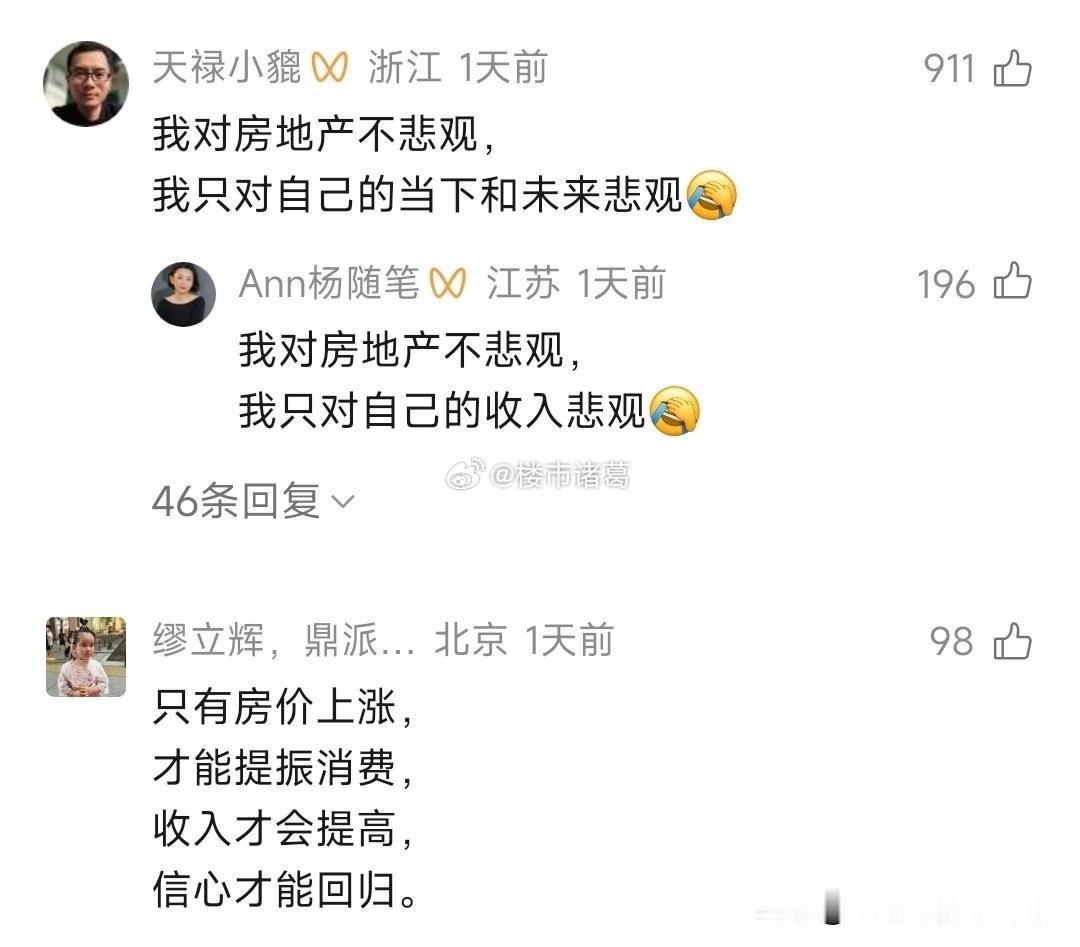 一些网友对中国房地产的态度：