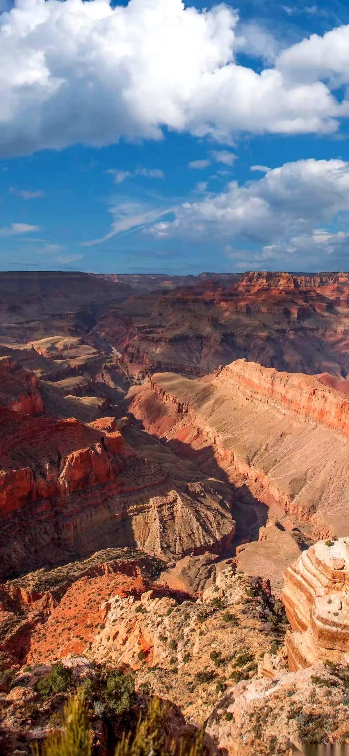 听一个护士长说的，特扎心。她说，人一到生活不能自理那步，尊严这东西，就碎了一地