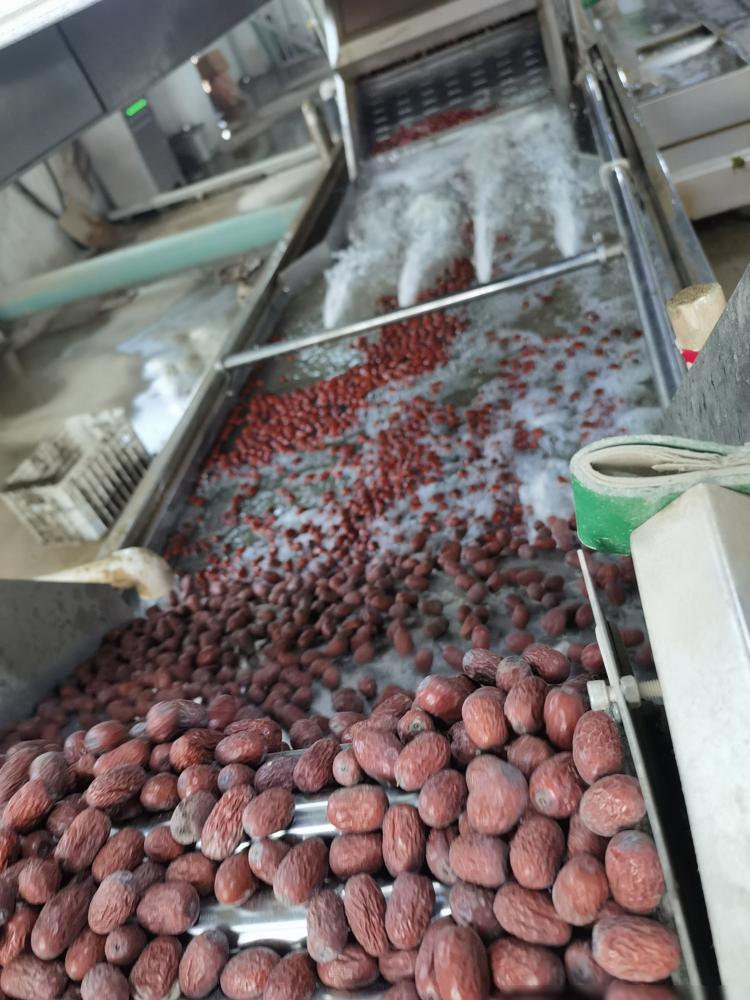 我在阿克苏找工作，去了红枣加工厂，干12个小时，女的一天100，男的一天130，