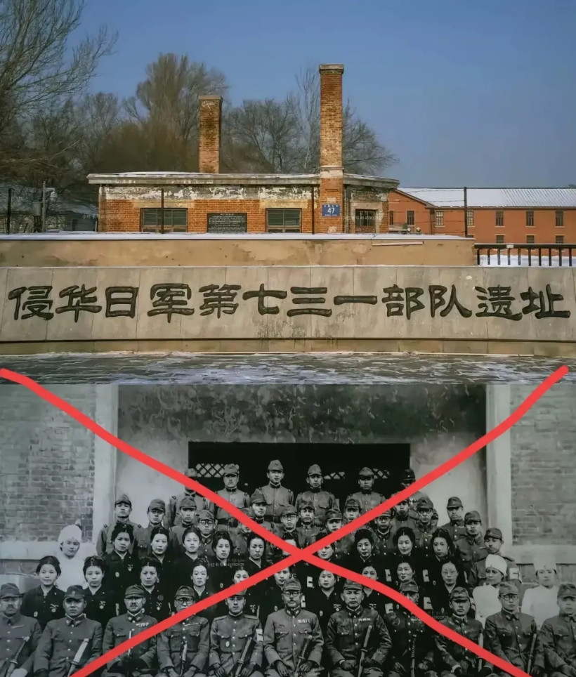 《南京照相馆》让全世界看到中国人经历了什么！《东极岛》让全世界知道中国人做了什