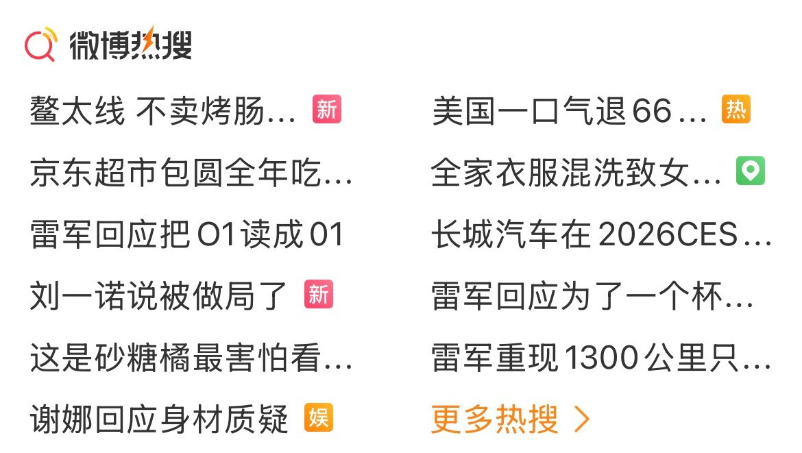 热搜总榜和科技榜被雷总霸榜了，这就是影响力。但凡雷总和小米有一点风吹草动，立马就