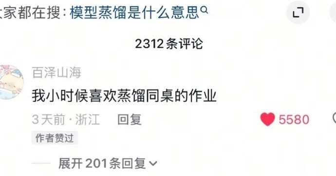 我或许也是个大模型meme