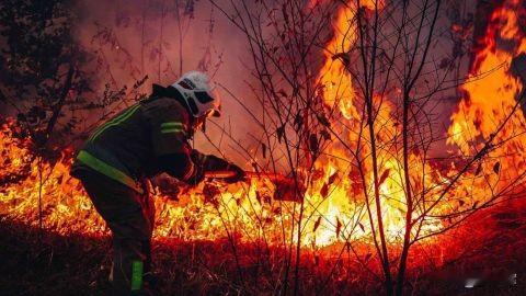 【敖德萨州遭无人机袭击后发生火灾：林场土地和奥恰科夫岛正在燃烧】1月2日，由