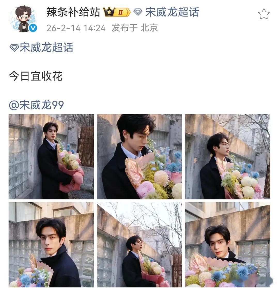 龙麦丝天天就嗑这种