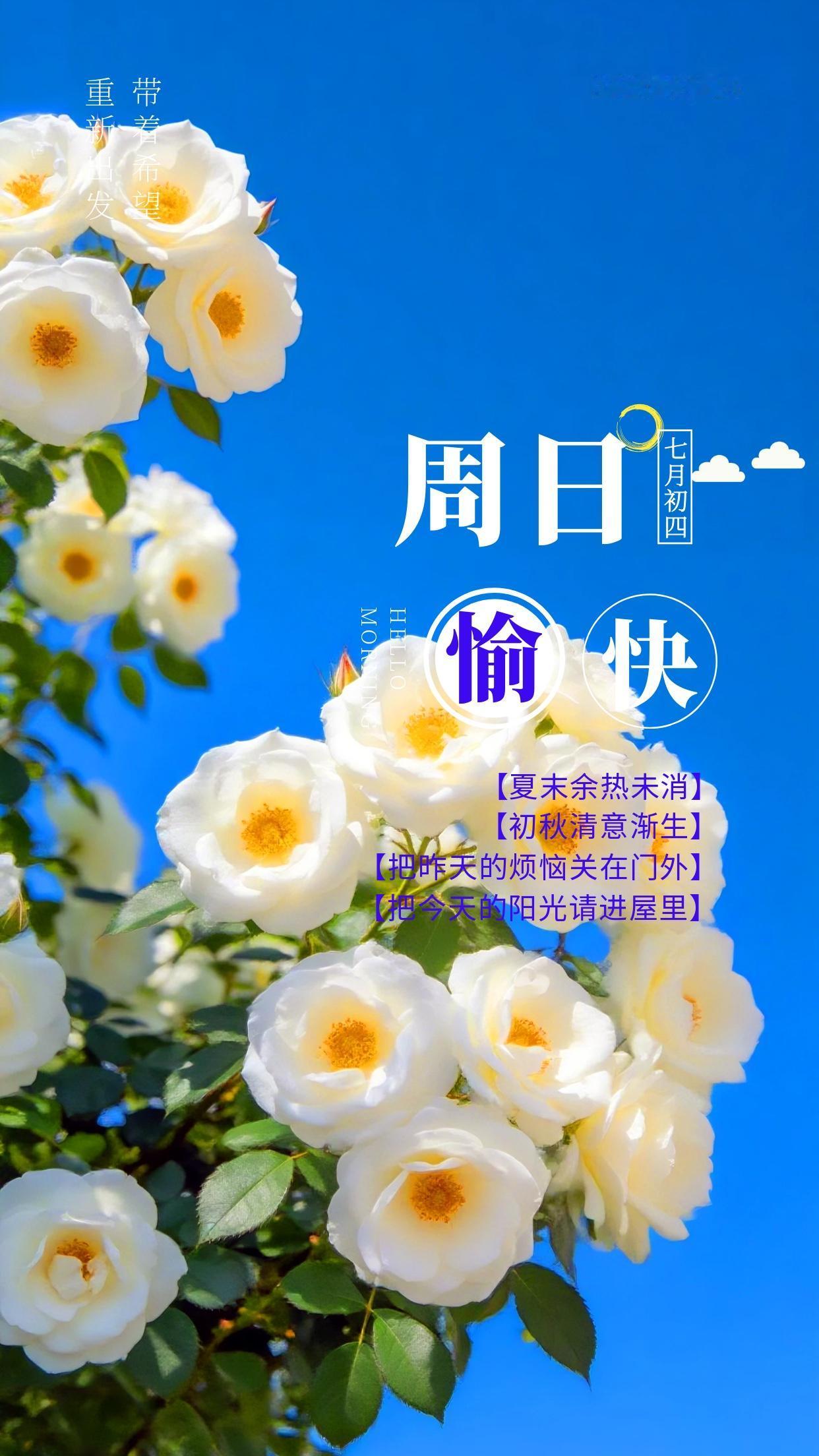 2026年8月16日周日早安！结束一整周的忙碌奔波，终于迎来可以彻底放松的休息日