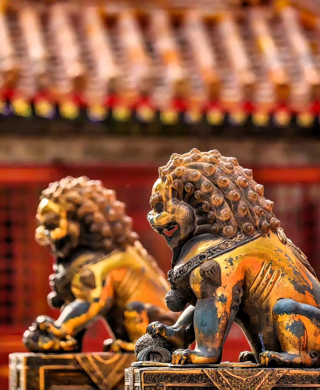 反腐只能是其中一种手段，还需建立一所专业的公职学院，为什么？咱们不同于资本主义制
