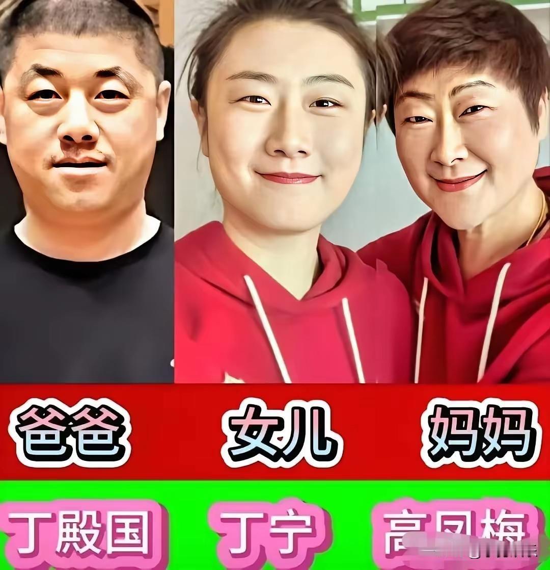 丁宁、宁泽涛、林高远、张常宁、王梦洁、徐云丽：体坛健将的父母，才是真正的“幕后冠