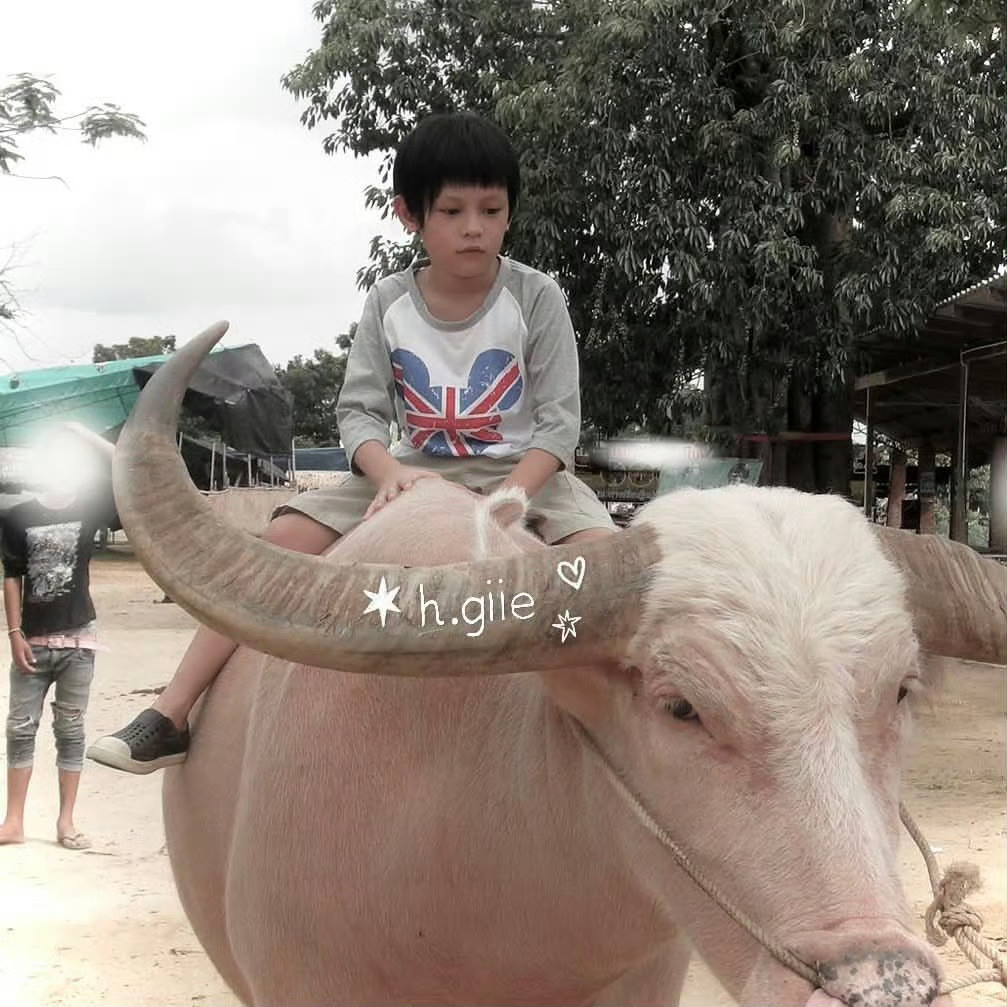 赵两几你牛大了是吧