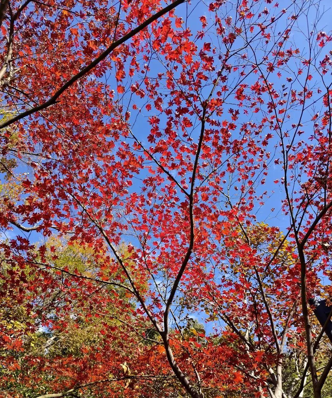 弟弟满心欢喜准备搬去照顾怀孕的儿媳，却被儿子一句“月子中心已订好”挡在门外。老
