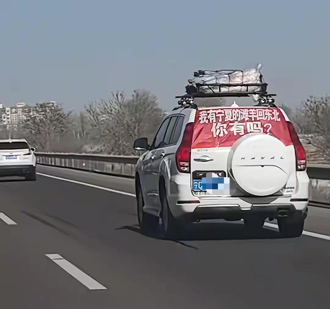 原以为是用小汽车拉了只活羊回去，仔细一看是宰杀好的整羊。用自家小汽车拉羊肉应该没