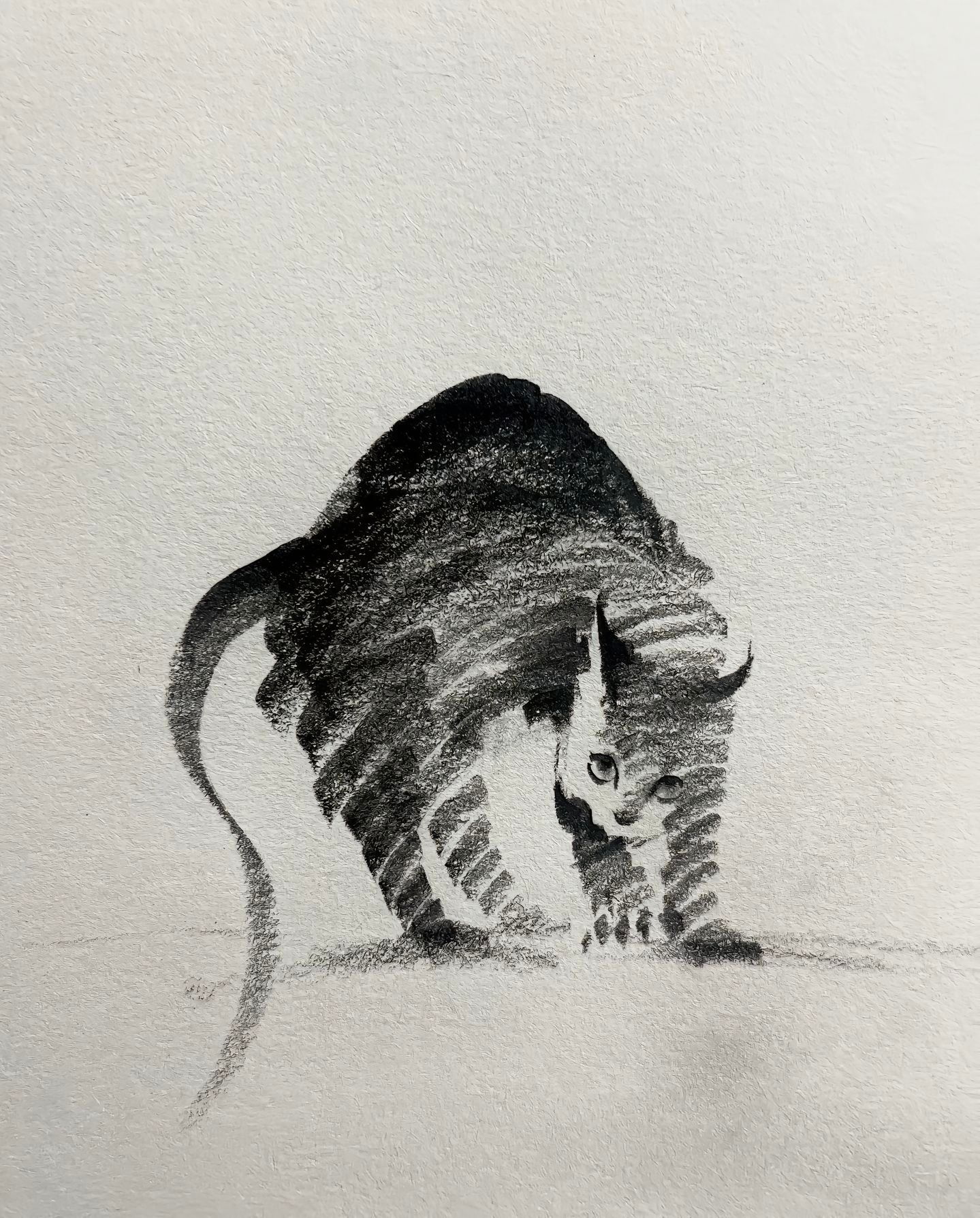 美院毕业生手下的猫咪（作者：手訫）（作者声明：未经授权禁止商用，转载请标注来源）