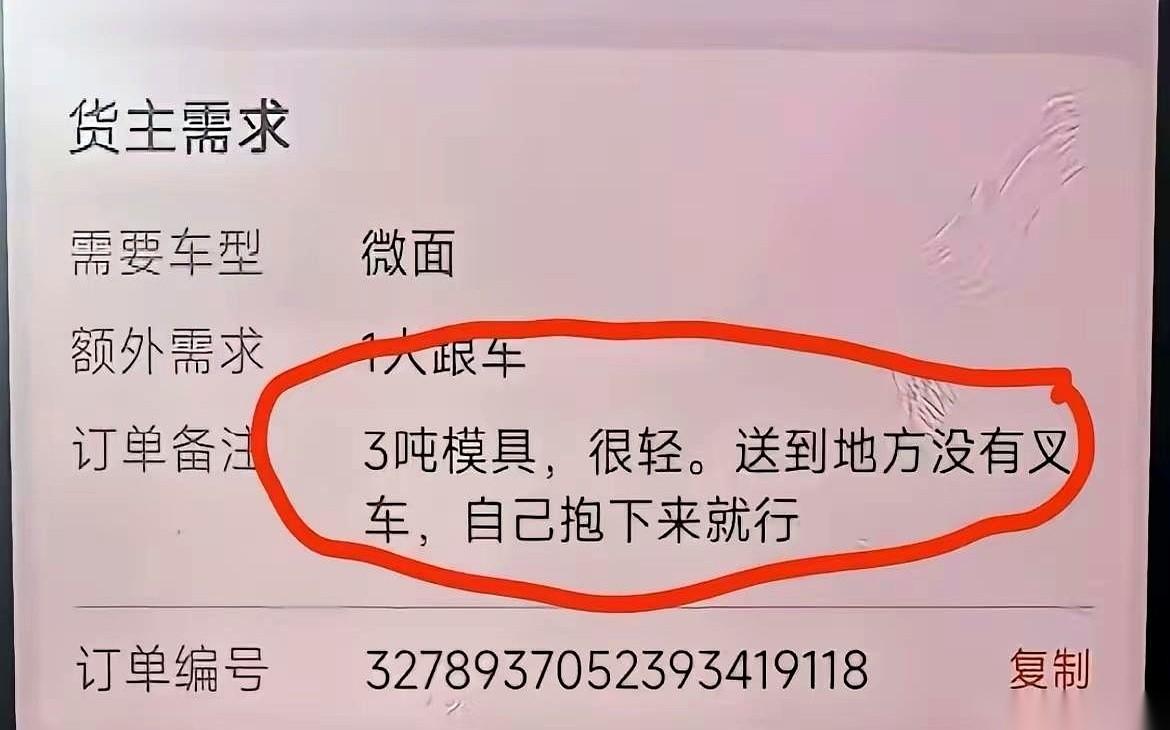手机一亮，派单软件弹出一个活儿：一个模具，明明白白标着三吨。我这车，核载就三吨