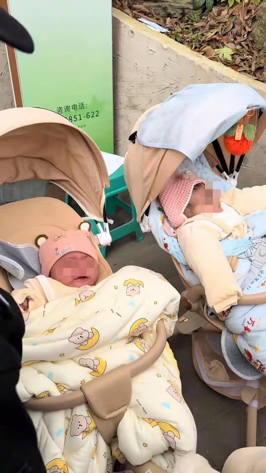 12月22日下午，一对外国夫妻在贵阳黔灵山公园游玩时，将不满六个月的双胞胎托付给