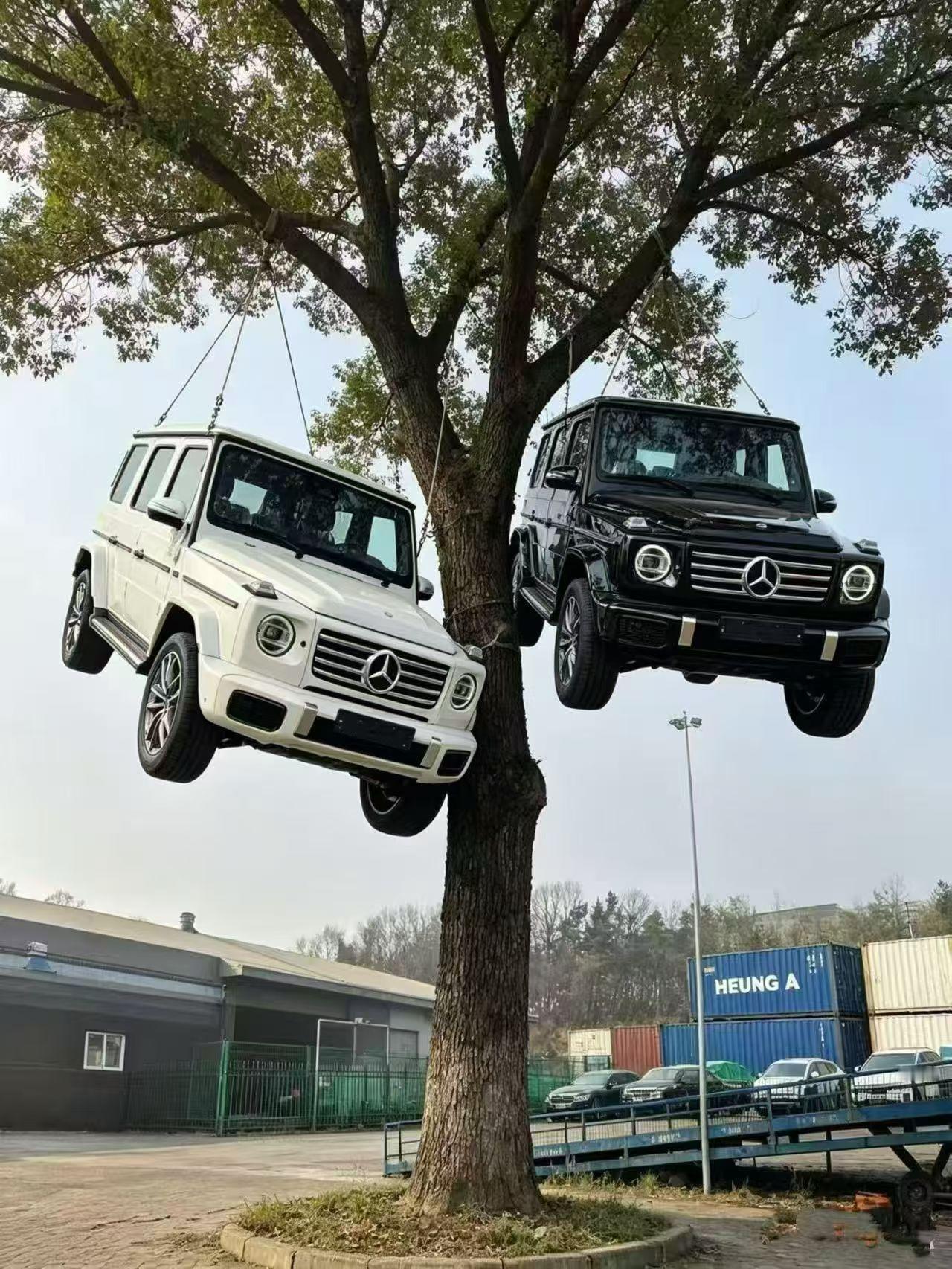 AI的实际应用好家伙，真把奔驰G挂树上了天津