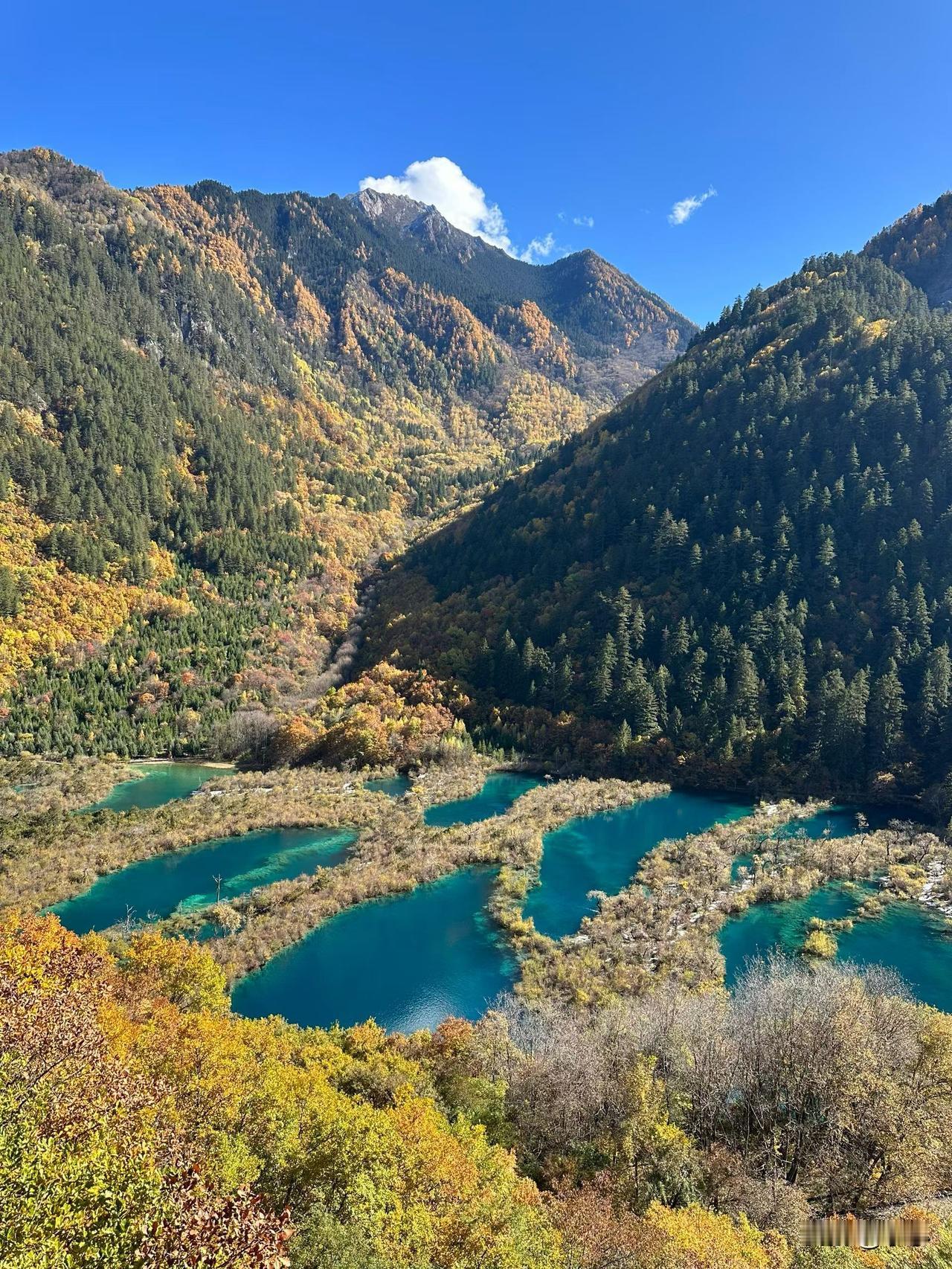 胆结石发作后，现在不疼了，每个月开一次熊去氧胆酸胶囊，吃了这药后感觉到好饿，消化