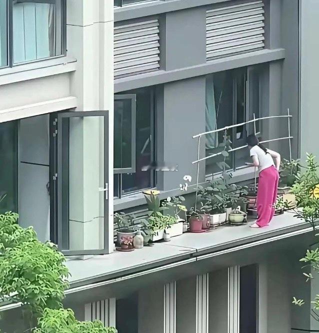 房子的价值都在她一人身上了