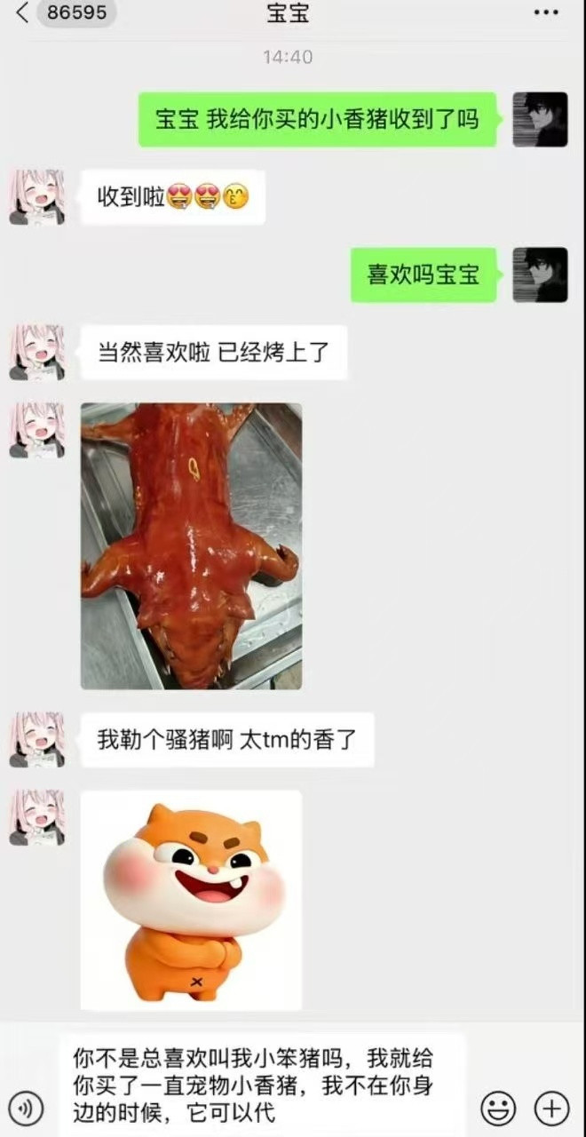 我嘞个骚猪啊